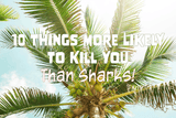 10 Things More Likely to Kill You than Sharks! - Salinity Swimwear