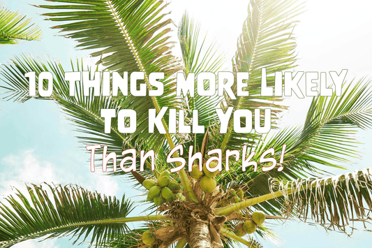 10 Things More Likely to Kill You than Sharks! - Salinity Swimwear