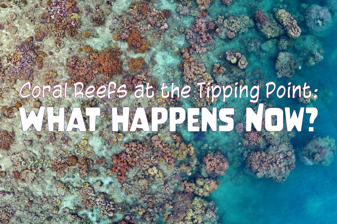 Coral Reefs at the Tipping Point: What Happens Now?