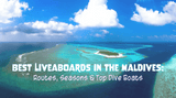 Best Liveaboards in the Maldives: Routes, Seasons & Top Dive Boats - Oceza