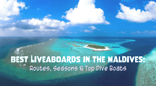 Best Liveaboards in the Maldives: Routes, Seasons & Top Dive Boats - Oceza