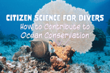 Citizen Science for Divers: How to Contribute to Ocean Conservation - Oceza