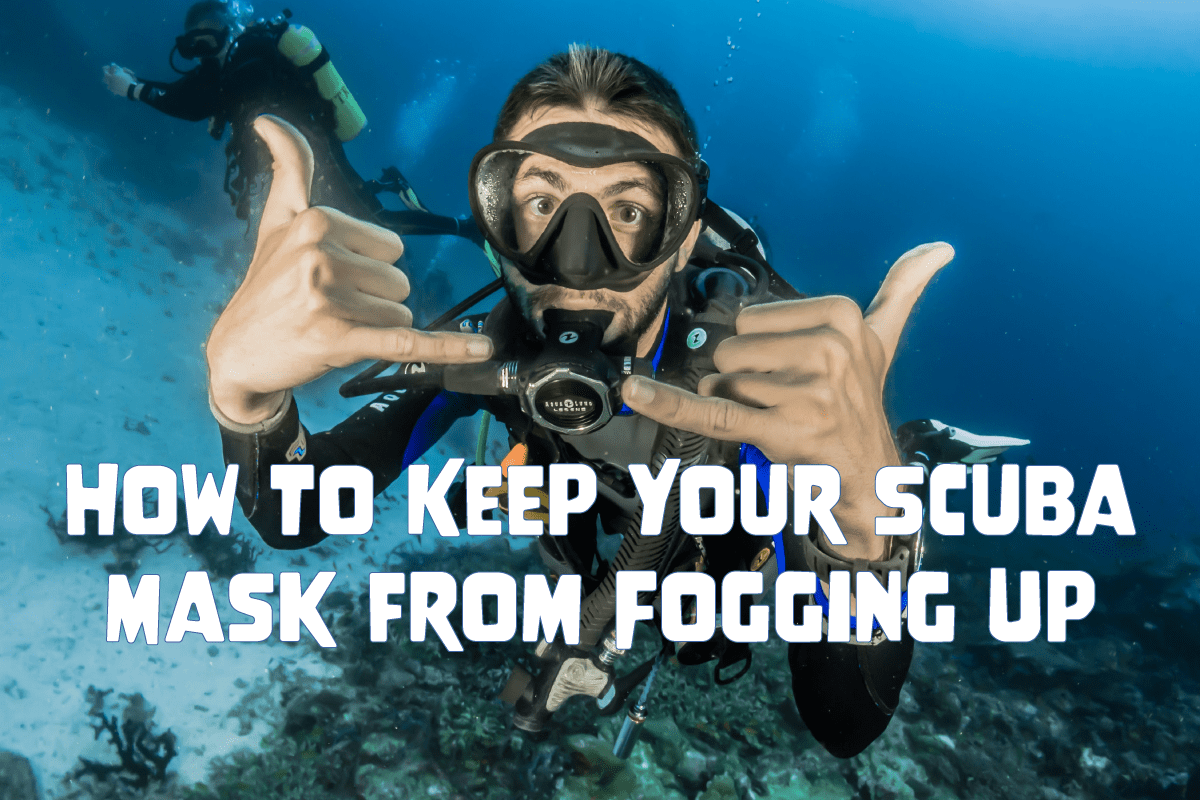 How to Keep Your Scuba Mask from Fogging Up – Oceza