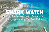 Shark Watch: How One Woman and a Drone Are Changing the Way We See Sharks - Salinity Swimwear