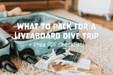 What to Pack for a Liveaboard Dive Trip + Free PDF Checklist! - Salinity Swimwear