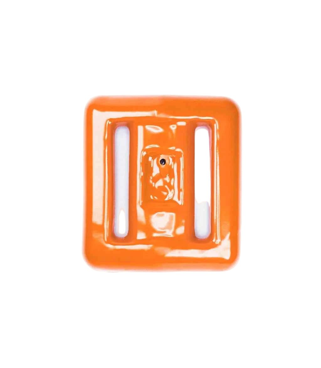 Clownfish -  - ["Bright Buoy Diving","Shopify Collective"]