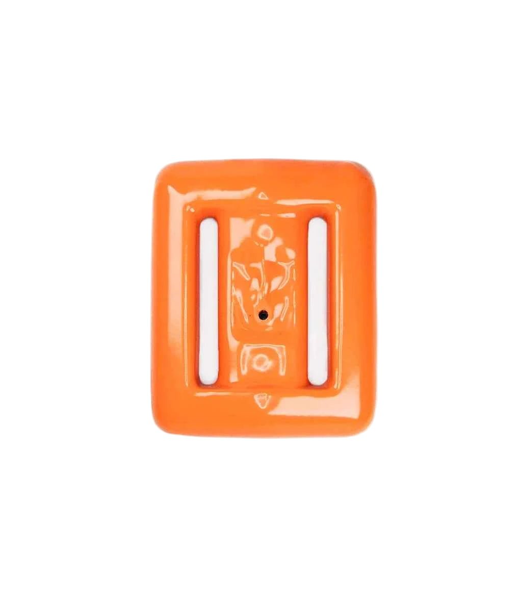 Clownfish -  - ["Bright Buoy Diving","Shopify Collective"]