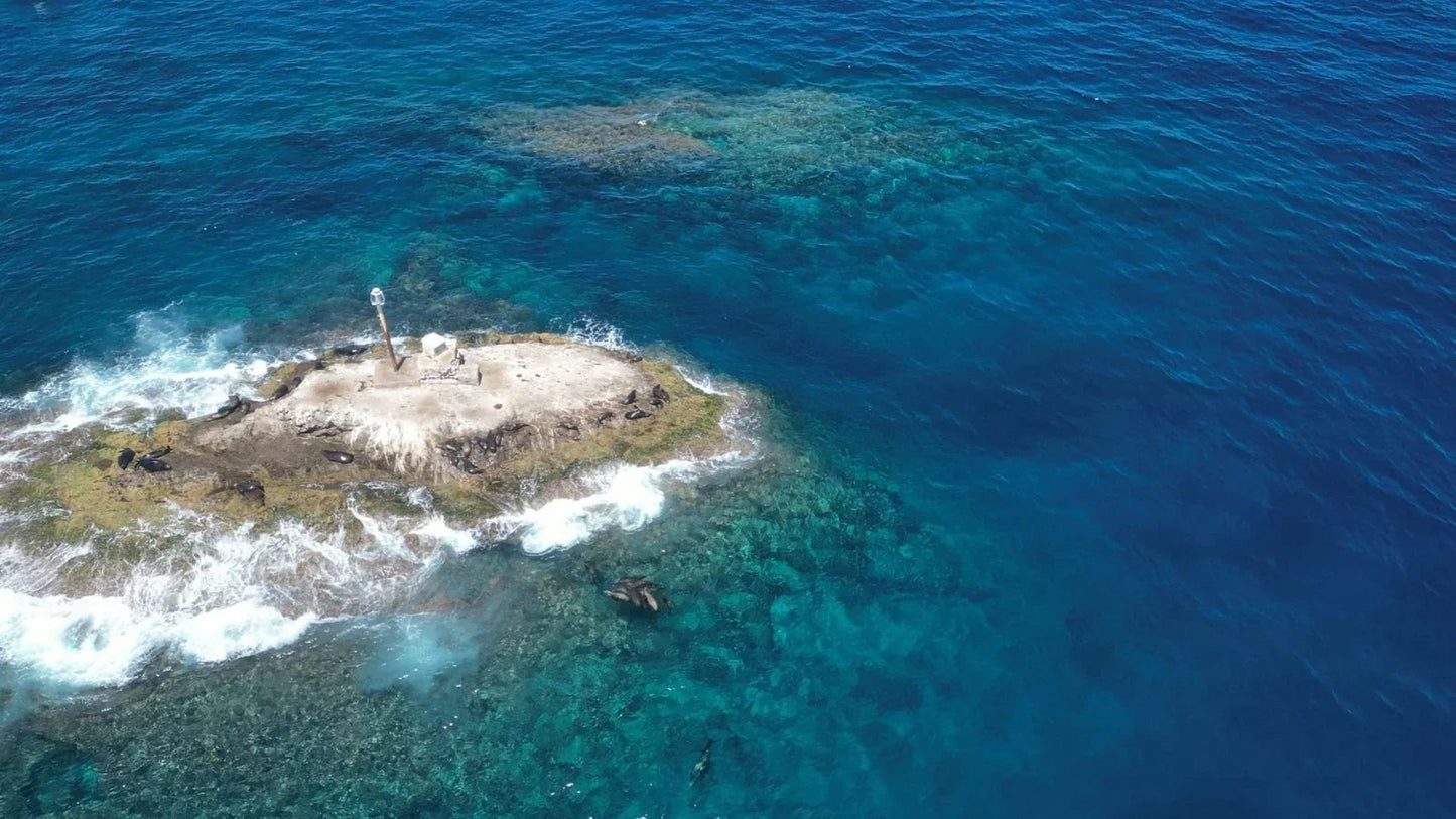 La Ventana Ocean Safari - Deposit - 