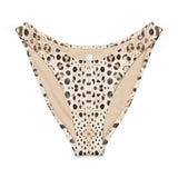 Leopard Shark Eco High-Leg Cheeky Bikini Bottom -  - ["Leopard Shark","Shark","swim","women"]