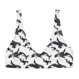 Midnight Orca Eco Bikini Top -  - ["Midnight Orca","orca","swim","Wildlife","women"]