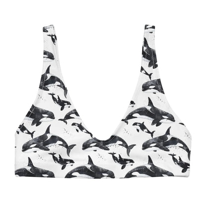 Midnight Orca Eco Bikini Top - 