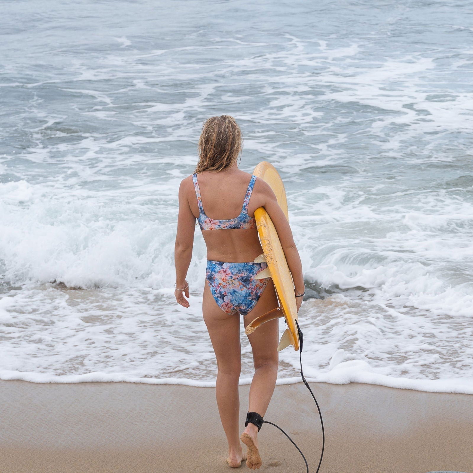 Blacktip Shark Drift Eco High-Waisted Bikini Bottom -  - ["shark","shark watch","swim","Wildlife","women"]