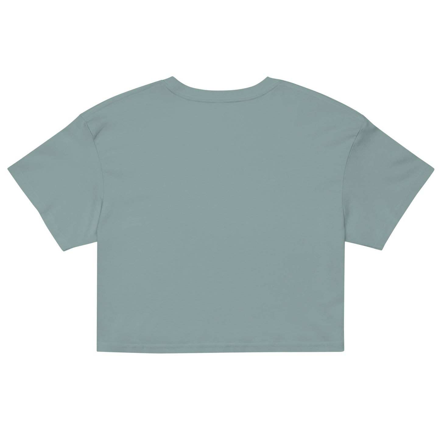 Test My Waters Women’s Crop Top - 