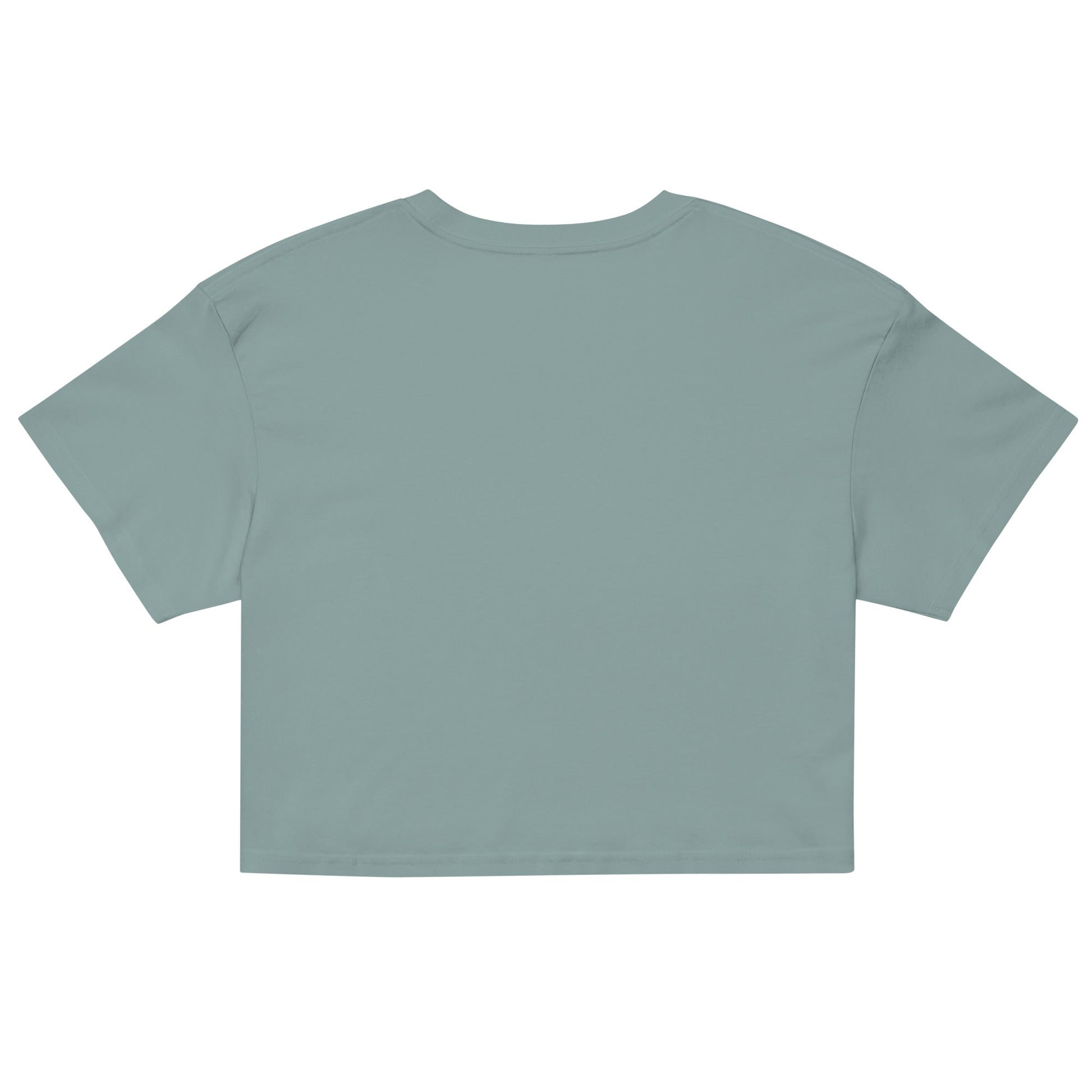 Test My Waters Women’s Crop Top - 