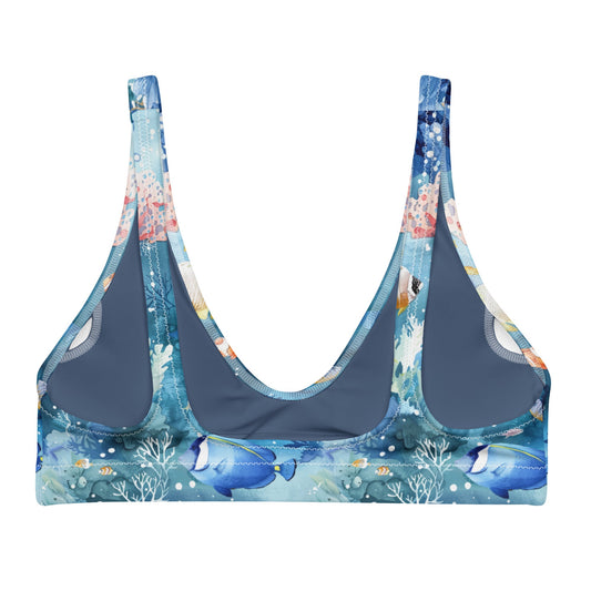 Tropical Reef Fish Eco Bikini Top - 