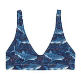Whale Shark Dream Eco Bikini Top -  - ["swim","whale shark","Whale Shark Dream","women"]