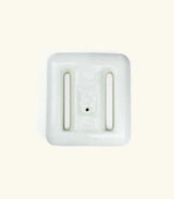 Whitewater -  - ["Bright Buoy Diving","Shopify Collective"]