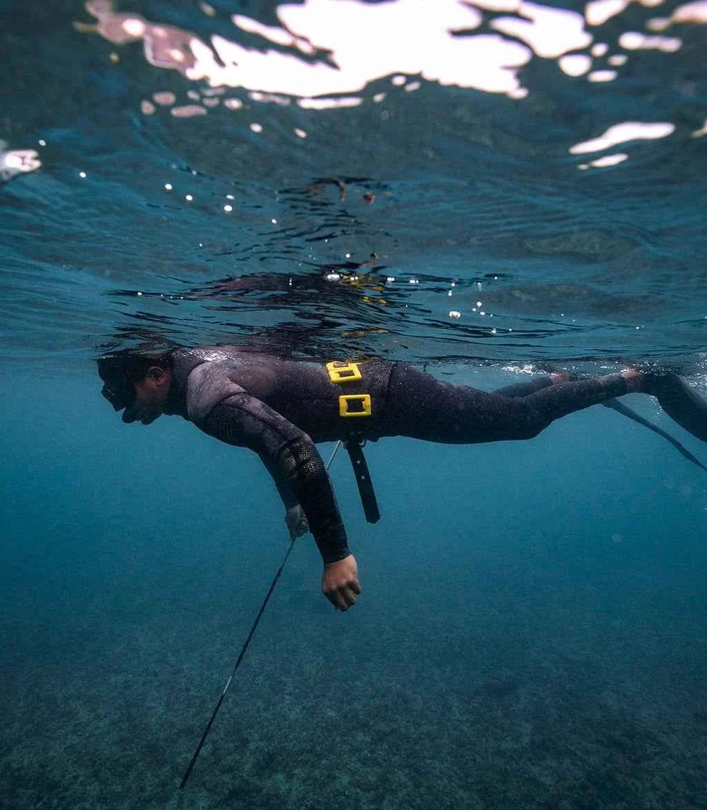 Yellow Tang -  - ["Bright Buoy Diving","Shopify Collective"]