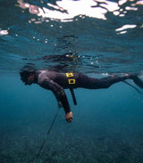 Yellow Tang -  - ["Bright Buoy Diving","Shopify Collective"]